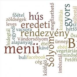 Sólyom Bisztró Hódmezővásárhely - Egyéb