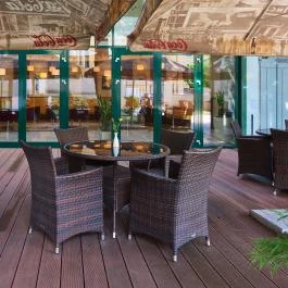 Hotel Ginkgo Hódmezővásárhely - Medence/kert