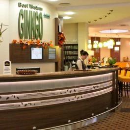 Hotel Ginkgo Hódmezővásárhely - Belső