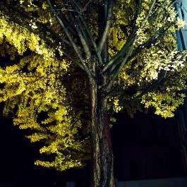 Hotel Ginkgo Hódmezővásárhely - Külső kép