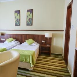 Hotel Ginkgo Hódmezővásárhely - Szobák