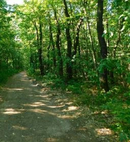 47. legjobb látnivaló: Országos Kéktúra, túraútvonal