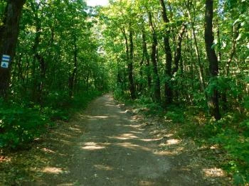 Országos Kéktúra, túraútvonal Hollóháza