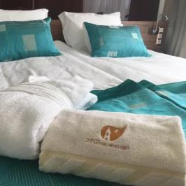 Castellum Hotel Hollókő Hollókő - Egyéb