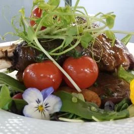 Castellum Hotel Hollókő Hollókő - Egyéb