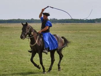 Mátai Ménes Hortobágy