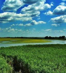 Fecskeház Erdei Iskola