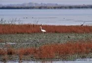 Fecskeház Erdei Iskola Hortobágy