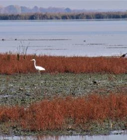 Fecskeház Erdei Iskola