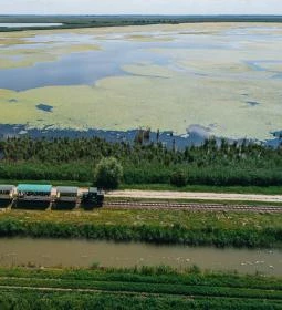 Hortobágy-halastavi kisvasút 