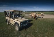 Hortobágy - Hortobágyi Vadaspark