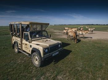 Hortobágyi Vadaspark Hortobágy