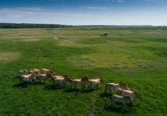 Hortobágyi Vadaspark Hortobágy