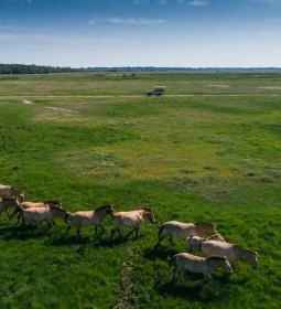 Hortobágyi Vadaspark