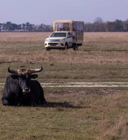 Hortobágyi Vadaspark