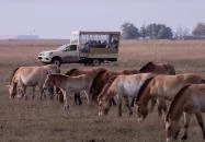 Hortobágyi Vadaspark Hortobágy