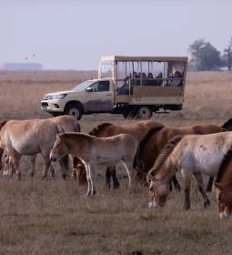 Hortobágyi Vadaspark