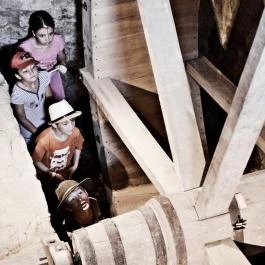 Almalomb Kulináris Kitérő & Találkozóhely Hosszúhetény - Belső