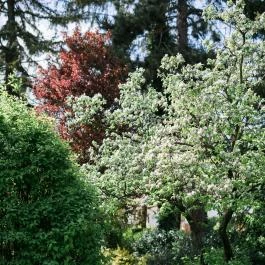 Almalomb Kulináris Kitérő & Találkozóhely Hosszúhetény - Külső kép