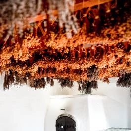 Almalomb Kulináris Kitérő & Találkozóhely Hosszúhetény - Külső kép