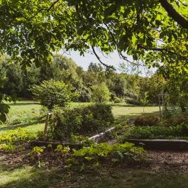 Almalomb Kulináris Kitérő & Találkozóhely Hosszúhetény - Külső kép