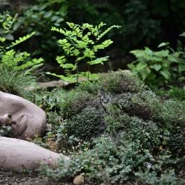 Almalomb Kulináris Kitérő & Találkozóhely Hosszúhetény - Külső kép