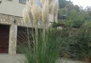 Anna Mediterrán Vendégház Hosszúhetény