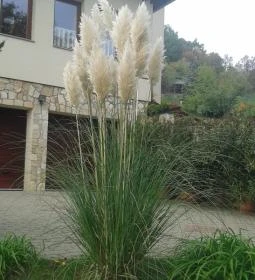 Anna Mediterrán Vendégház