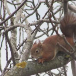 Anna Mediterrán Vendégház Hosszúhetény - Egyéb