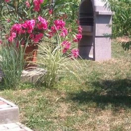 Anna Mediterrán Vendégház Hosszúhetény - Medence/kert