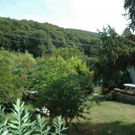 Zengőlak Vendégház Hosszúhetény - Medence/kert