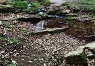 Hosszúhetény - Bodzás-forrás