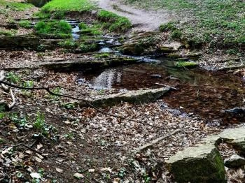 Bodzás-forrás Hosszúhetény