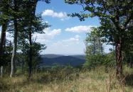 Hosszúhetény - Kelet-Mecsek Tájvédelmi körzet