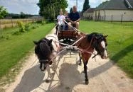 Póni Kuckó Vendégház és Minifarm Hosszúvölgy