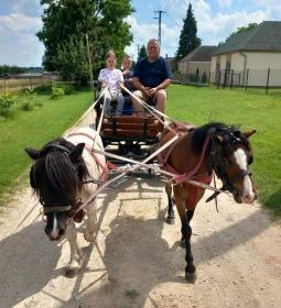 Póni Kuckó Vendégház és Minifarm 