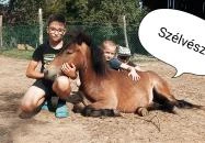 Póni Kuckó Vendégház és Minifarm Hosszúvölgy