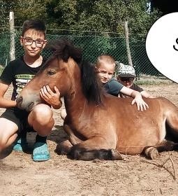 Póni Kuckó Vendégház és Minifarm 