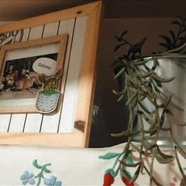 Póni Kuckó Vendégház és Minifarm Hosszúvölgy - Egyéb