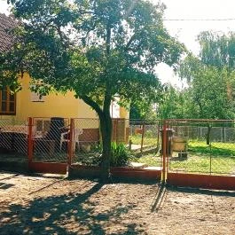 Póni Kuckó Vendégház és Minifarm Hosszúvölgy - Egyéb