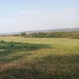 Póni Kuckó Vendégház és Minifarm Hosszúvölgy - Egyéb