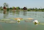 Berek Horgásznyaraló Hövej