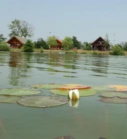 Berek Horgásznyaraló