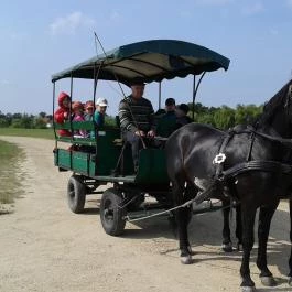Berek Horgászpark Hövej - Egyéb