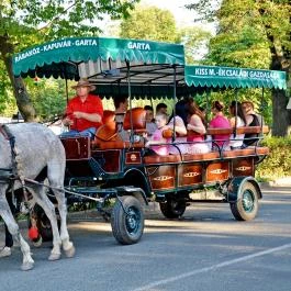 Kardos-Parti Vendégház Hövej - Egyéb