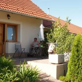 Franciska Portája Igal - Medence/kert