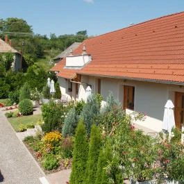 Franciska Portája Igal - Medence/kert