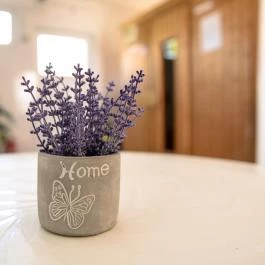 Thermal Panzió Igal Igal - Belső