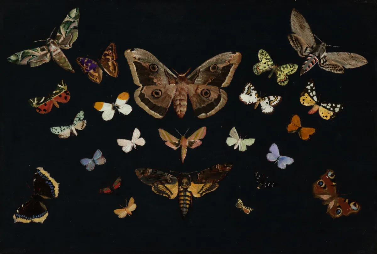 Csontváry Kosztka Tivadar: Pillangók (Első olajfestményem),1893 (olaj, fa, 32,5 × 48 cm) Budapest - Fotó: Szépművészeti Múzeum –Magyar Nemzeti Galéria