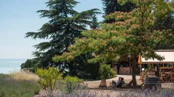 A Folly Arborétum Magyarország egyetlen magánkézben lévő arborétuma